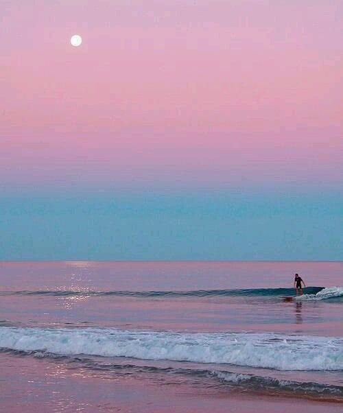 59301326_1141604339350047_6809409251803398144_n